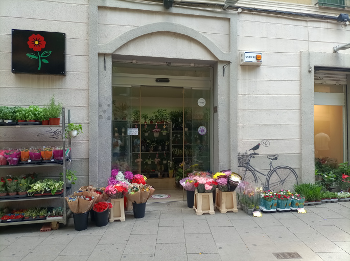 FloristeriaMajorVxLHeura_1757409132.jpg