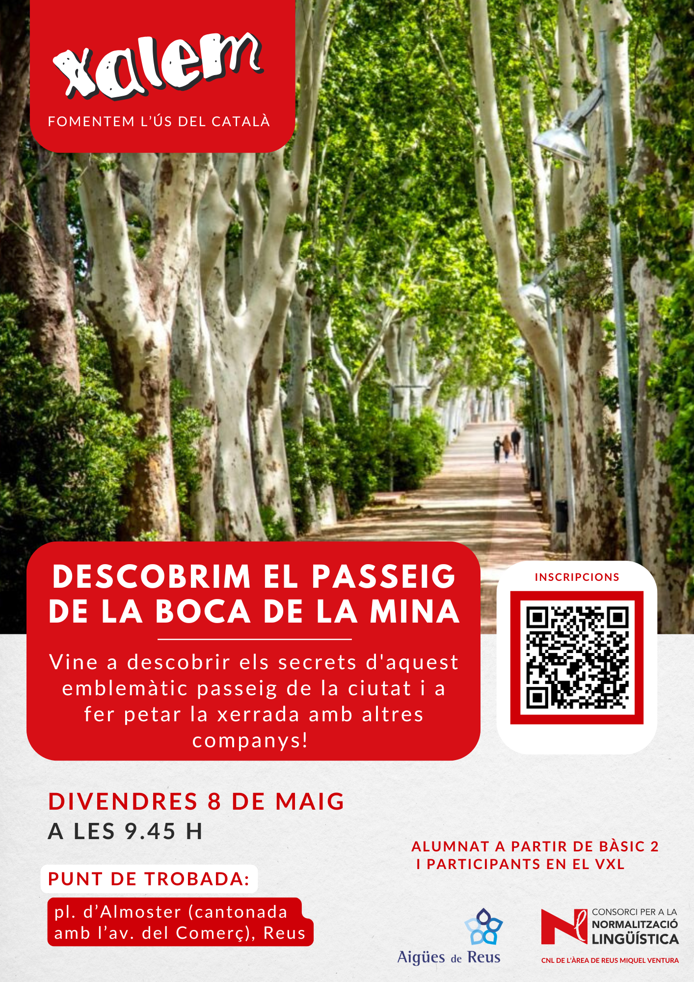 Cartell activitats Xalem_1776678984.png