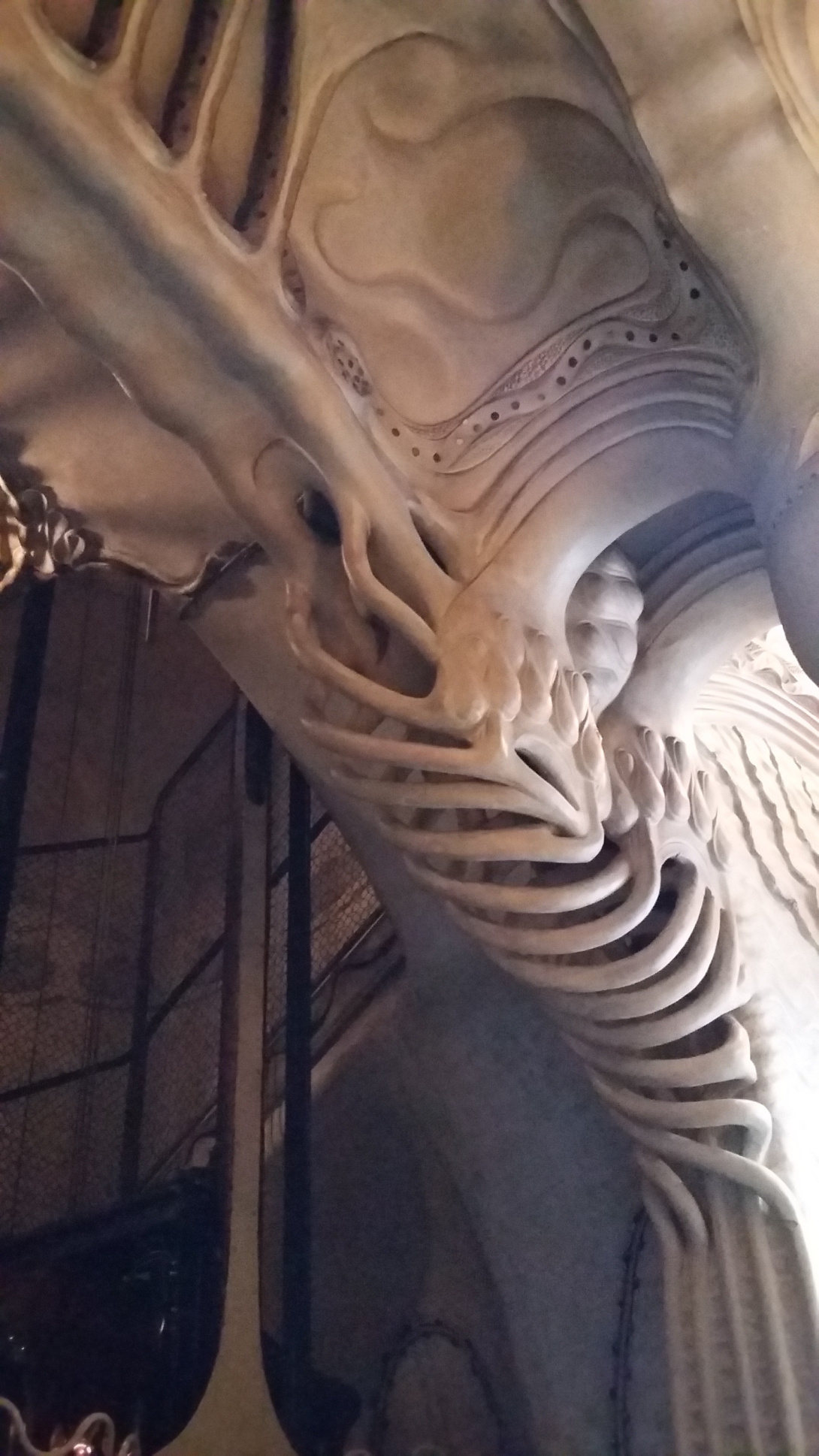 20151025_120345.jpg