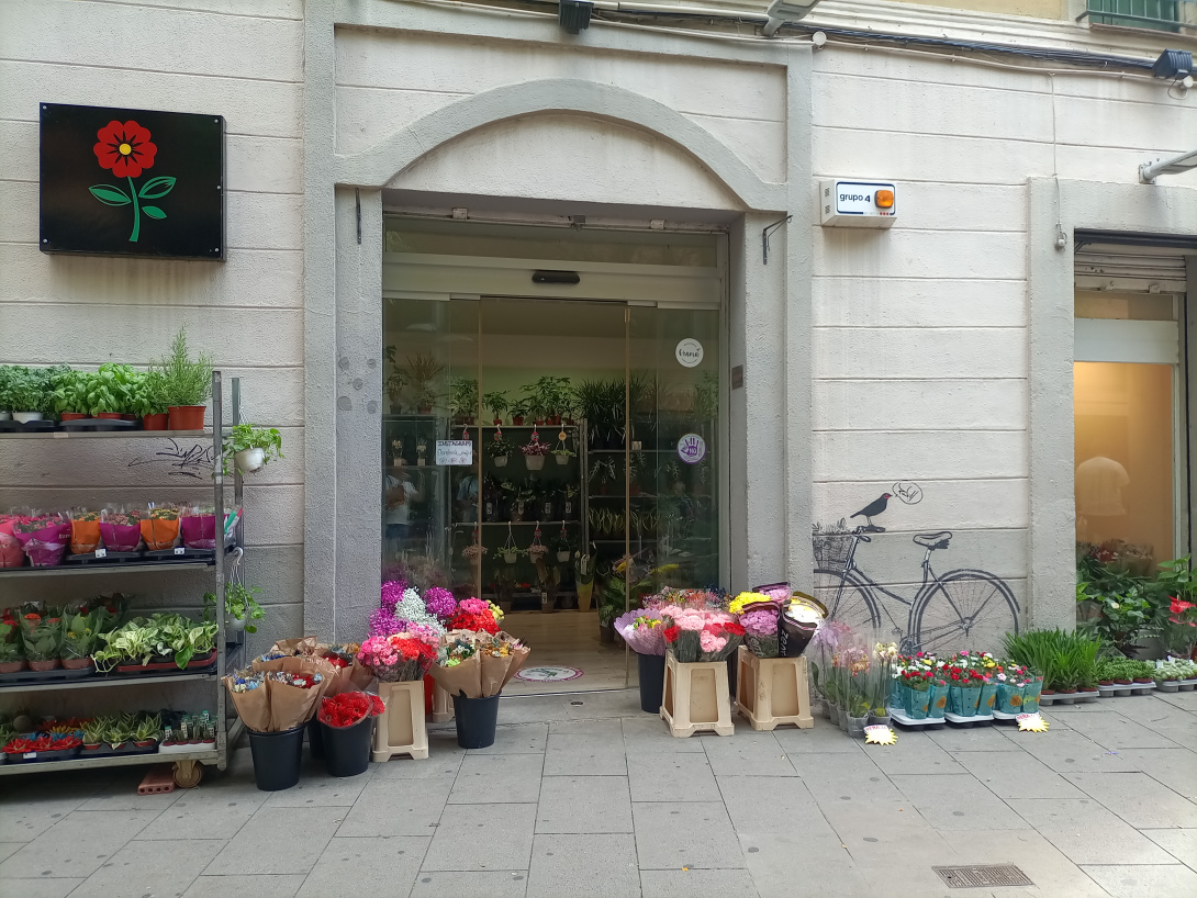 FloristeriaMajorVxLHeura_1757409132.jpg