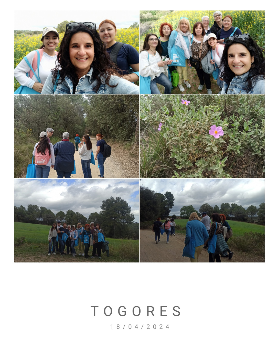 Togores_1713443710.jpg