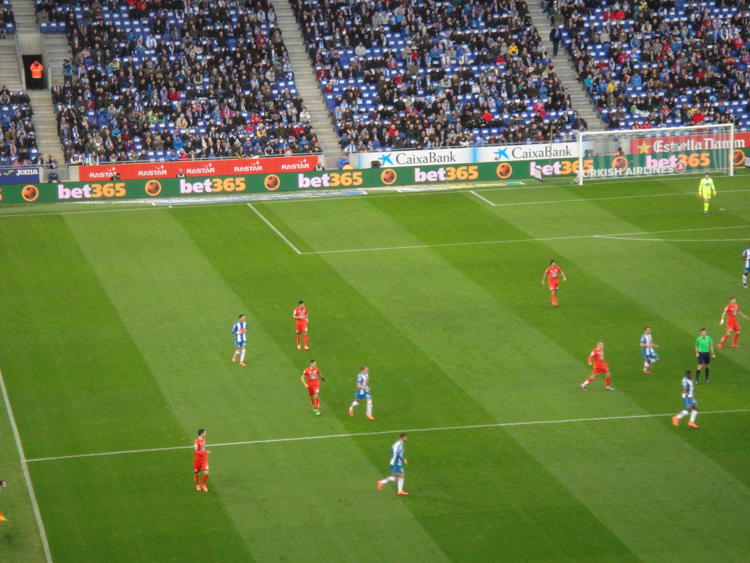 dsc07761.jpg